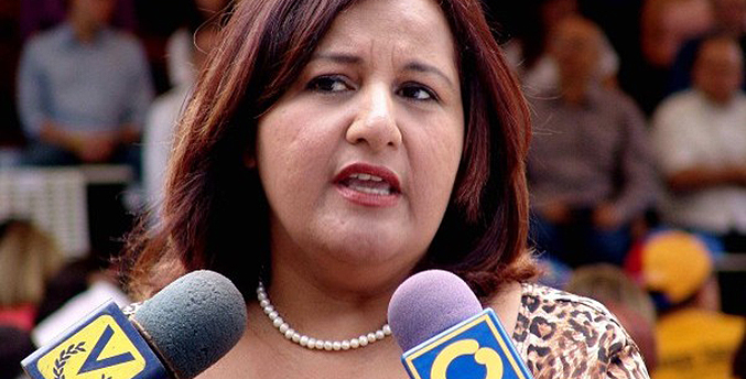 Opositores designan a Dinorah Figuera como máxima representante de la AN 2015