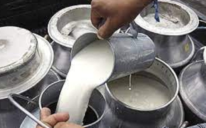 Producción de leche en el país está cerca de los 6 millones de litros diario