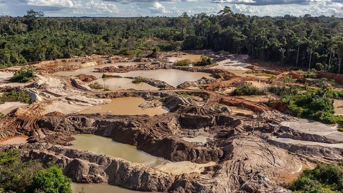 Canciller reporta “éxitos” en lucha contra la deforestación y la minería ilegal