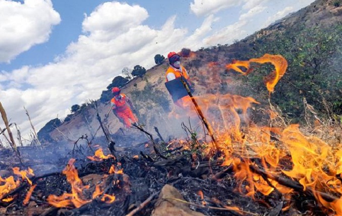 Más de 40 incendios forestales se registraron en enero en El Salvador