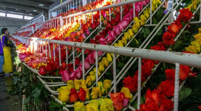 Toneladas de flores a Miami anuncia la llegada de San Valentín