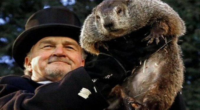 Phil, la famosa marmota pronostica seis semanas más de invierno en EEUU