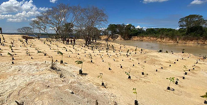 Venezuela empieza plan de reforestación en zonas afectadas por minería ilegal