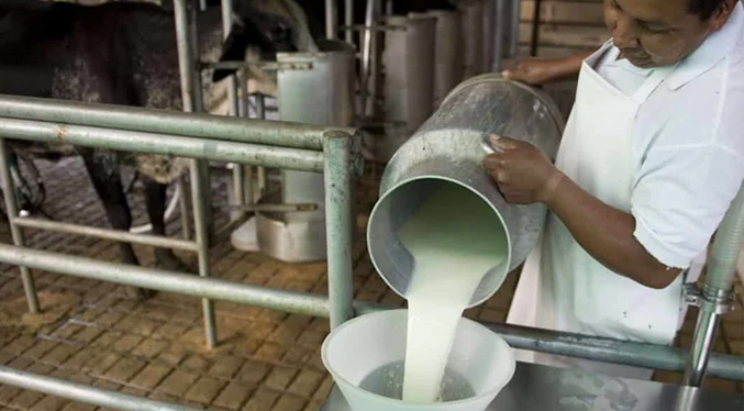 La leche en Venezuela sería la más cara del mundo por dificultades de producción