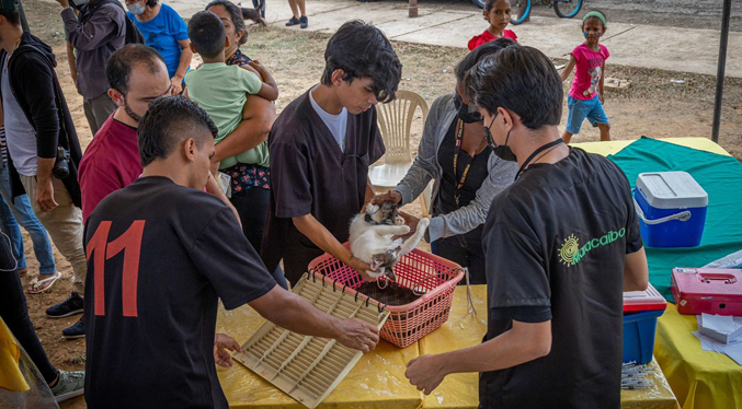 Más de 480 perros y gatos atendió la Alcaldía de Maracaibo en inicio del Plan de Vacunación Antirrábica