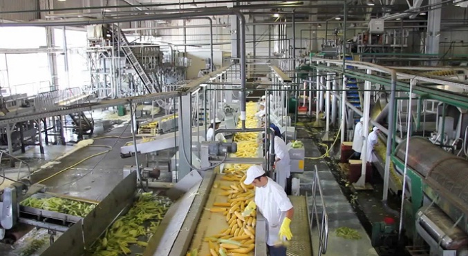 Industrias de alimentos operan a un 37 % de su capacidad instalada