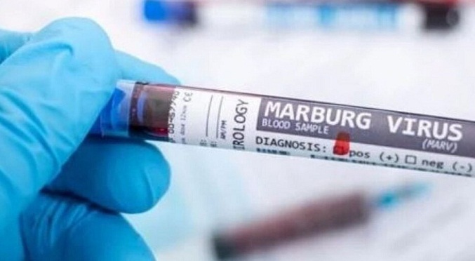 OMS trabaja para contener brote de Marburgo, virus similar al ébola