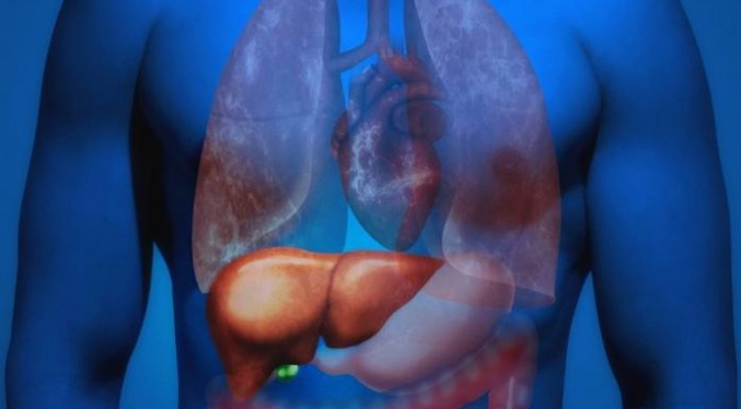 Europa aprueba una inmunoterapia contra cánceres de hígado y pulmón