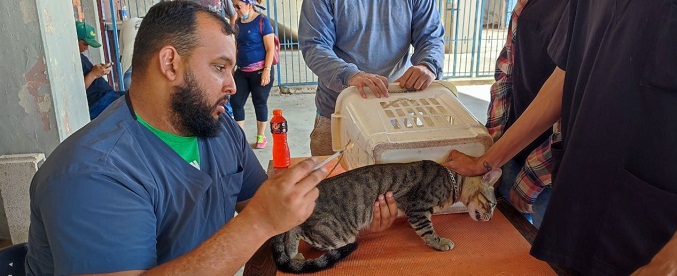 Alcaldía de Maracaibo reanuda Plan de Vacunación Antirrábica para perros y gatos