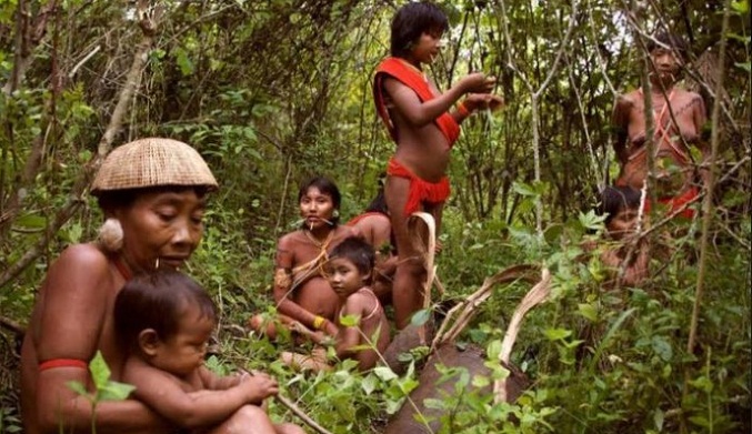 CIDH urge a Lula revertir crisis del pueblo Yanomami