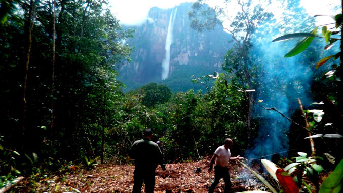 Venezuela tiene la tasa de deforestación de bosques naturales más alta de la región amazónica