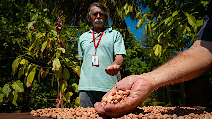 Productores de Maracaibo trabajan en un manual sobre la correcta forma de cultivar maní