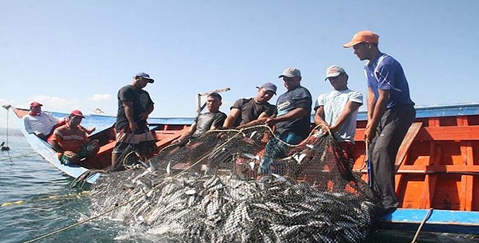 Producción pesquera en Venezuela creció un 8 % durante 2022