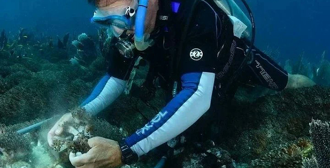 Conozca el dispositivo que puede eliminar el coral Unomia que invade las playas venezolanas