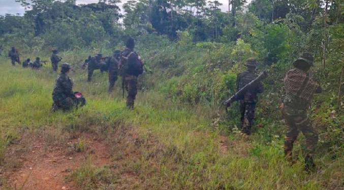 FANB destruye campamento de minería ilegal en parque nacional Yacapana