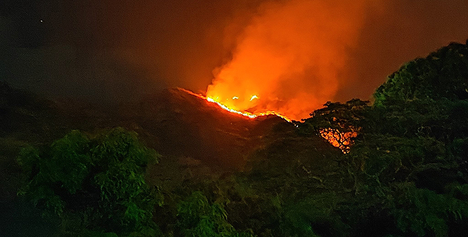 Parque Nacional Henri Pittier pierde más de 100 hectáreas por un incendio