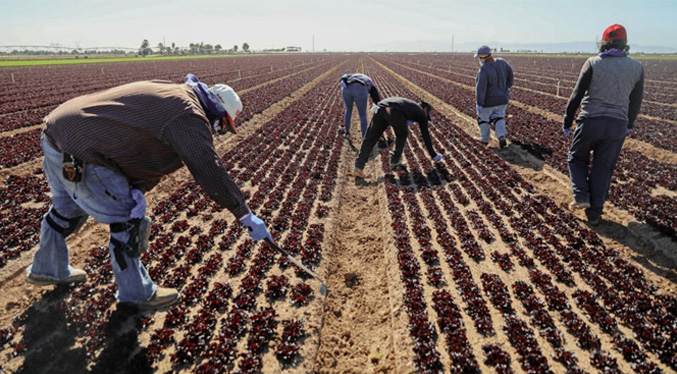 Agricultores del desértico sur de California, en el punto de mira por la guerra del agua