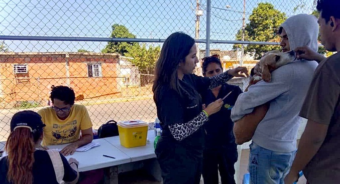Plan de Vacunación Antirrábica de la Alcaldía de Maracaibo llegará a nueve parroquias en marzo