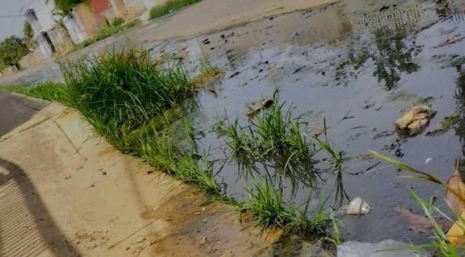 Vecinos de Los Bucares amenazan con cerrar la vía por derrame de aguas negras