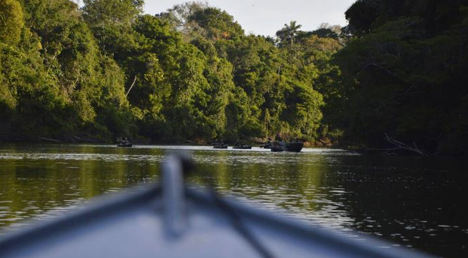 Google ofrece inteligencia artificial para combatir devastación amazónica