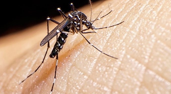 Casos de dengue en el país suben de 5 a 40 casos semanales