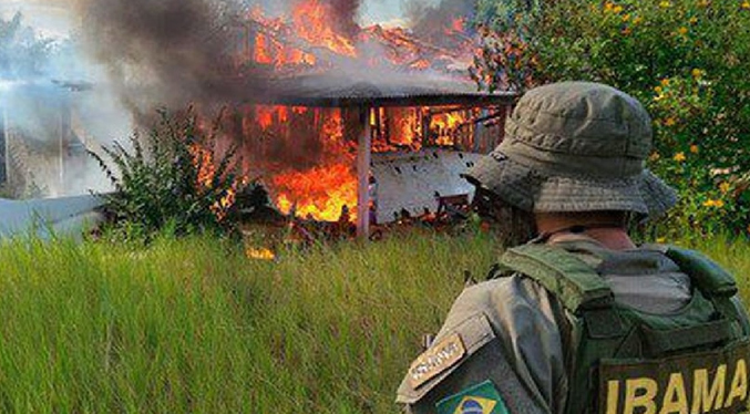 Fuerza Aérea brasileña destruye avión de minería ilegal tras cierre aéreo en tierra Yanomami
