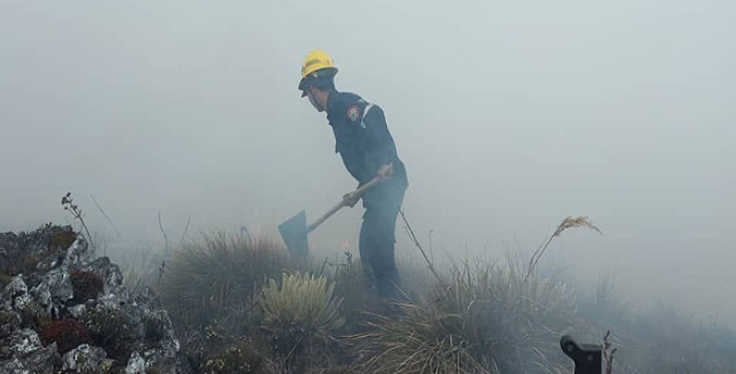 Incendio forestal deja daños a la vegetación del municipio Trujillo