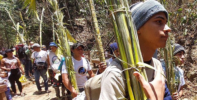 Palmeros de Chacao llegan este sábado con los ramos para el inicio de Semana Santa