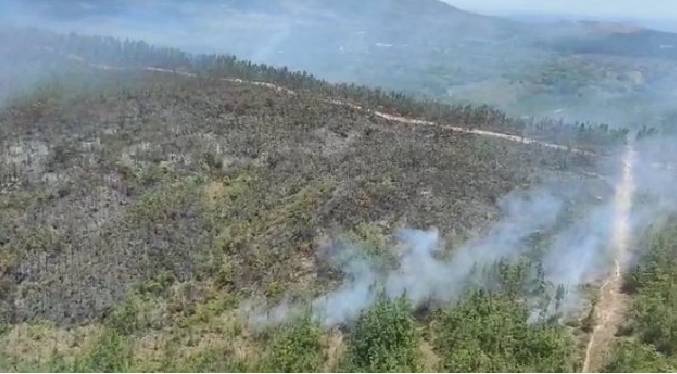 Bomberos combaten gran incendio en una reserva forestal de Panamá