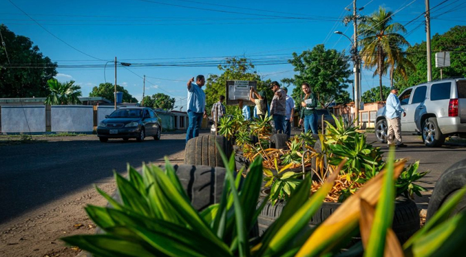 Siembran más de mil arbustos con el Plan Maracaibo Verde