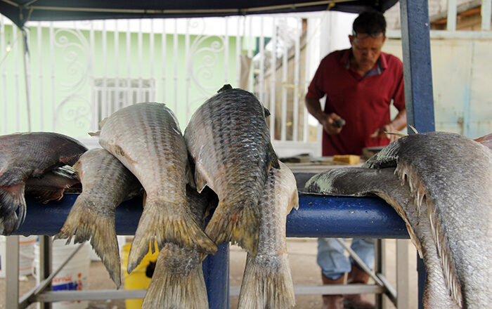 Ventas de pescado exponen ofertas para cubrir demanda en Semana Santa
