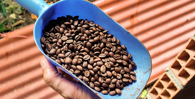 Comerciantes de Unda adoptan el café como “moneda local» debido a condiciones económicas