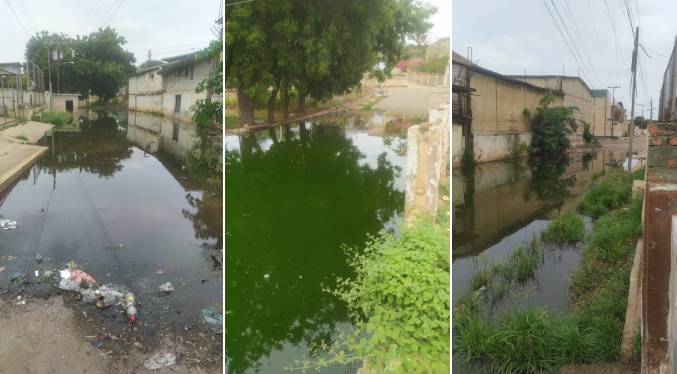 Comunidad en Los Haticos reclama atención por inundación de aguas cloacales