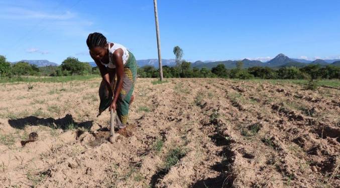 Suiza promete millones para luchar contra la pobreza y el cambio climático en África