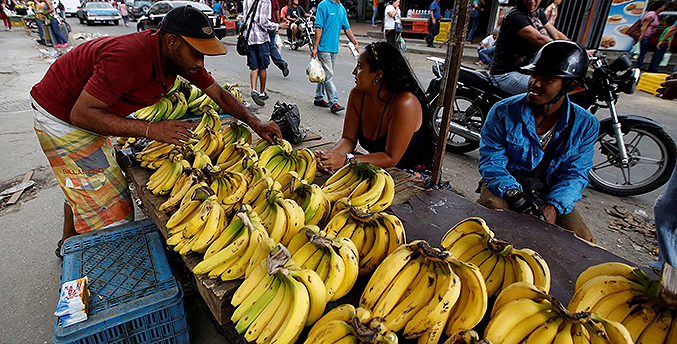 Reuters: El hongo del banano puede empeorar la crisis alimentaria en Venezuela