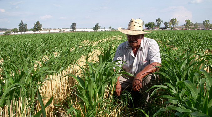 Fedeagro pide invertir en agricultura y no en petróleo: Es mucho más económico