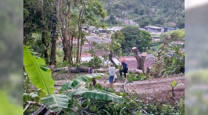 Más de 120 familias perdieron sus viviendas por las lluvias en Táchira y Cojedes