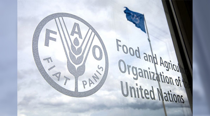 FAO: Países pobres tendrán que reducir importaciones de alimentos en 2023 por inflación