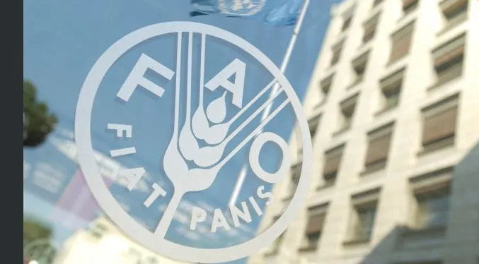 FAO: 56 millones de personas pasan hambre en este momento en América Latina
