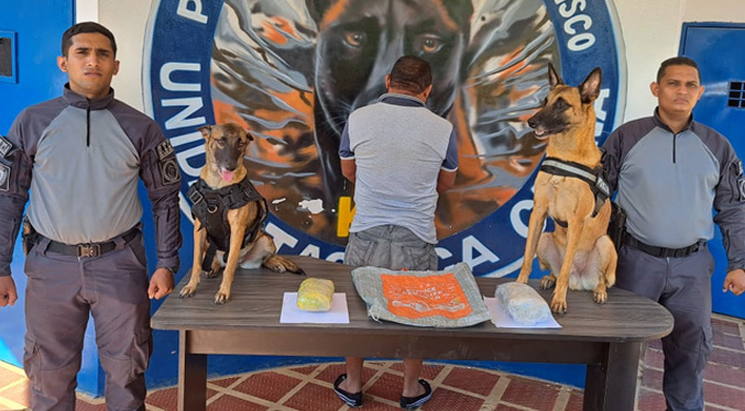 Polisur detiene sujeto por distribución de droga en el Mercado de Mayorista del Sur