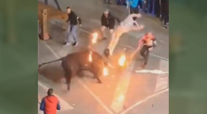 Frenéticas embestidas de toro contra hombre que intentó prender fuego a sus cachos (Video)