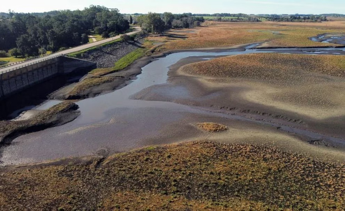 Sequía en Uruguay: el gobierno estimó que en 10 días Montevideo se quedará sin agua potable