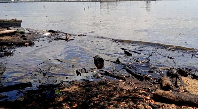 María Rossel Pineda: El Lago de Maracaibo en total estado de emergencia
