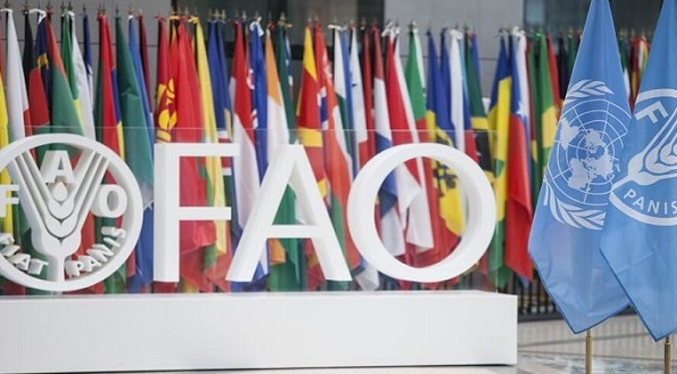 FAO lanza plan para ayudar a 175 mil personas en Venezuela