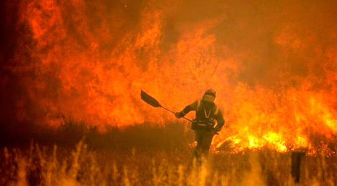 Ola de calor extremo recorre el planeta provocando incendios forestales