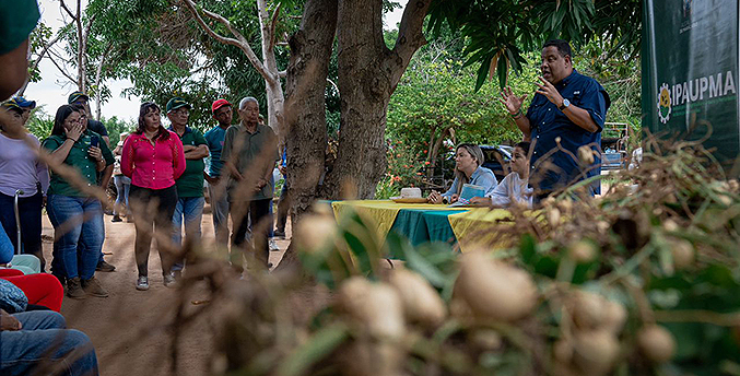 Productores de maní en San Isidro hacen el primer “saque” para comercializar a gran escala