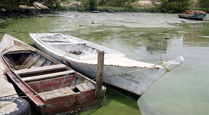 VP rechaza contaminación en el Lago de Maracaibo