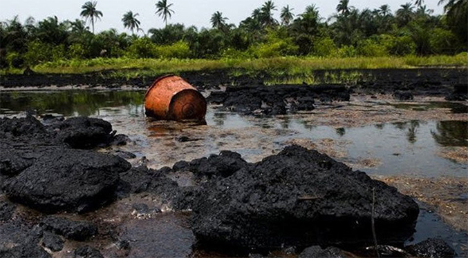 Pdvsa plantará merey para «reforestar» la Faja Petrolífera del Orinoco