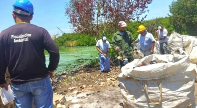 Minec fiscaliza y limpia orillas del Lago de Maracaibo