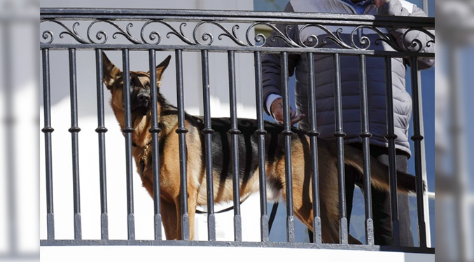 El perro de Biden ha mordido a varios agentes del Servicio Secreto